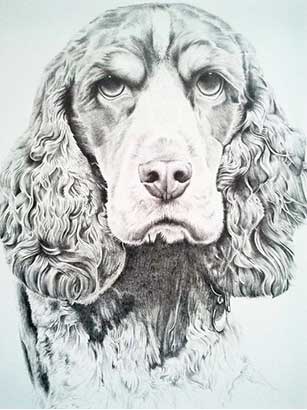 Pet Portrait 3/3