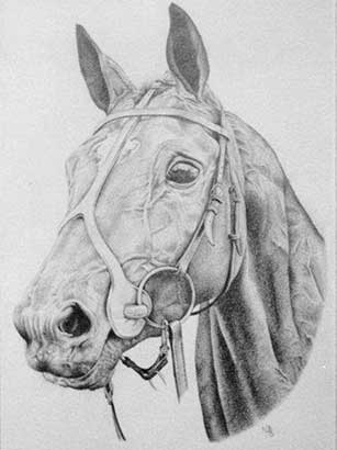 Pet Portrait 2/3