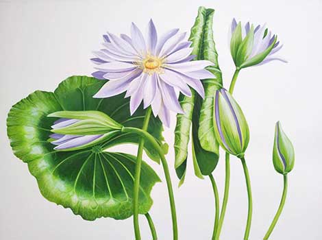 Flowers Painting 1/4